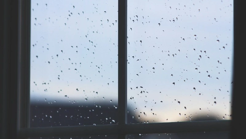 Небольшой дождь и до +25 градусов прогнозируют синоптики в Южно-Сахалинске 3 июля