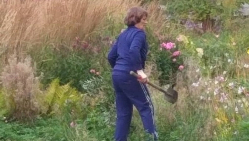 Воровку цветов засняли на видео в городском парке Южно-Сахалинска