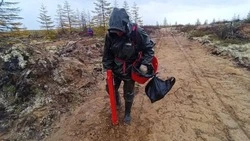 План по лесовосстановлению перевыполнили вдвое за год в Сахалинской области