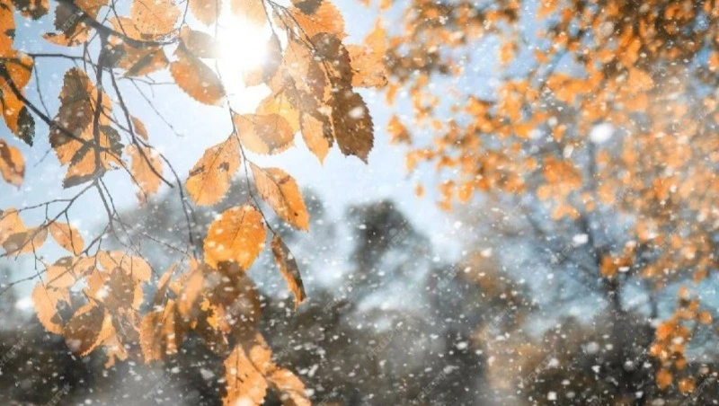 Прогноз погоды на Сахалине и Курилах 23 ноября: облачная погода и снег