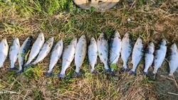 Рыбака без лицензии и с сетью задержали в Анивском районе