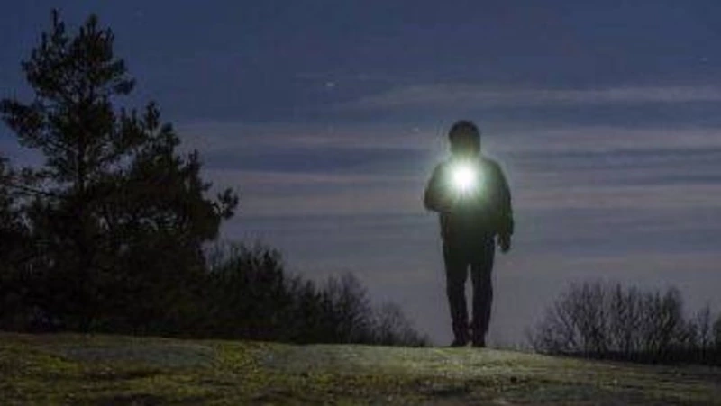 Сахалинцы выдвинули версию, куда могли пропасть грибники в лесу Синегорска