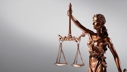 ГД приняла законопроект о бесплатной юридической помощи многодетным семьям