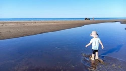 Жара до +28 придет на Сахалин после дождливых выходных