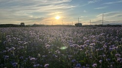 Синоптики уточнили предварительный прогноз погоды в Сахалинской области на неделю 
