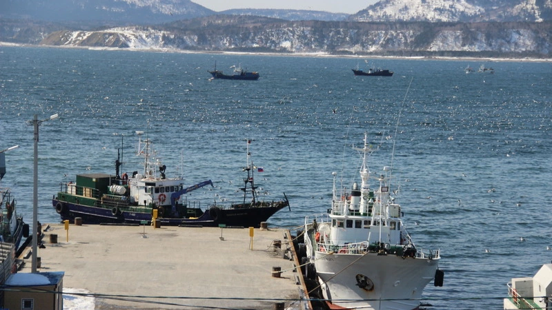 Голодным сахалинским морякам предложили уволиться с теплохода «Порт Мэй»