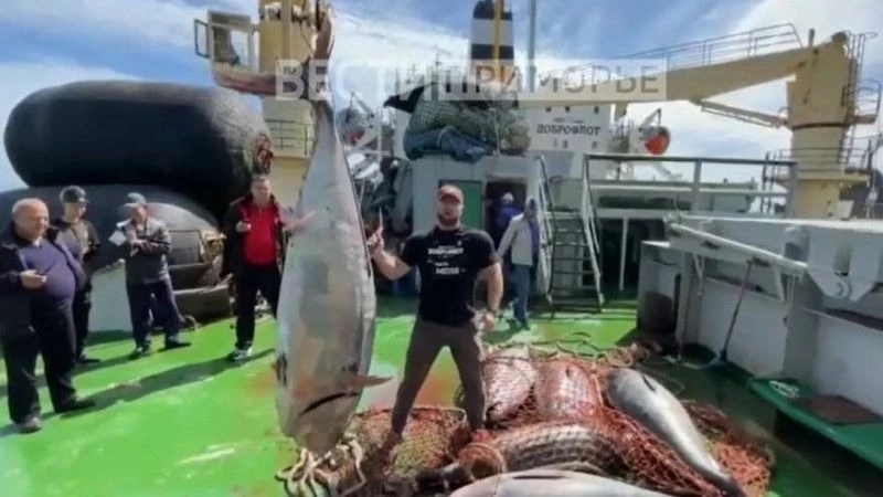 Гигантских тунцов поймали рыбаки у берегов Итурупа