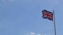 Брата короля Великобритании экс-принца Эндрю задержали из-за скандала с Эпштейном