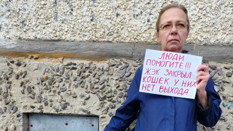 Управляющая компания замуровала кошек в подвале жилого дома в Корсакове 