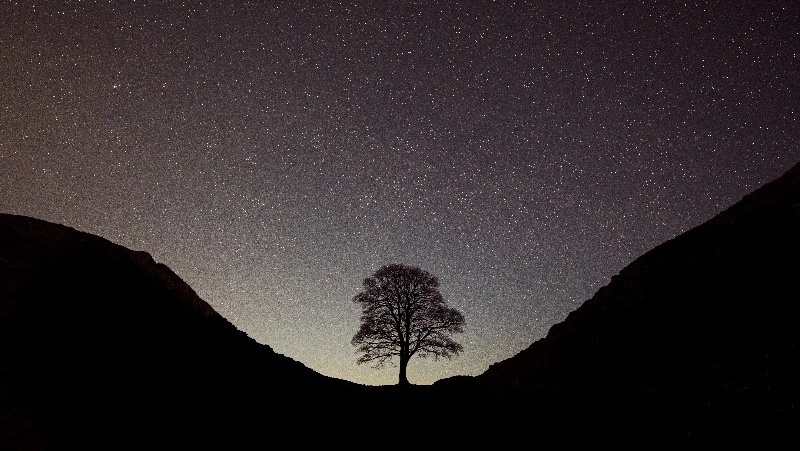 Гороскоп на 1 октября 2023 года: удачные приобретения и расширение возможностей