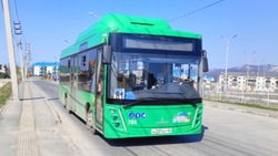 Шесть автобусных маршрутов в Южно-Сахалинске изменят на три дня схему движения 