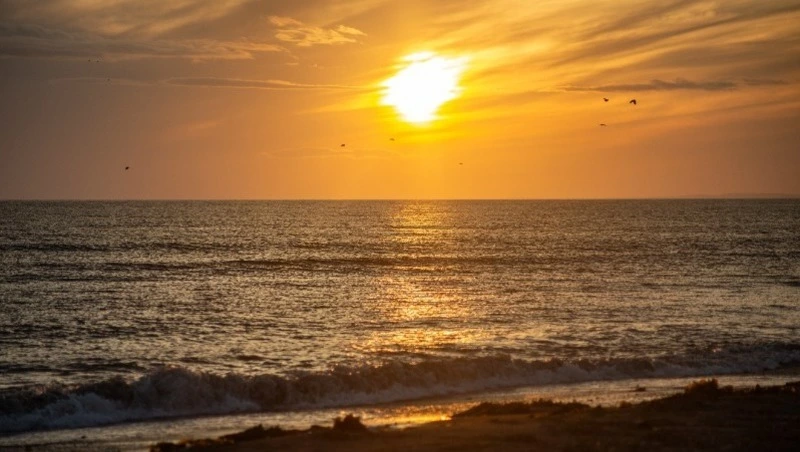 В Сахалинской области 13 июня будет тепло и сухо  
