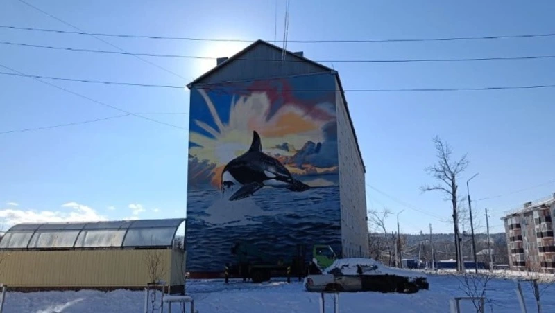 Стрит-арт с ныряющей косаткой нарисовали на фасаде дома в Долинске 