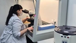 На Сахалине 24 женщины смогли бесплатно получить донорский материал на ЭКО благодаря господдержке