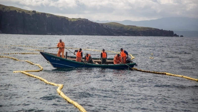 Росрыболовство назвало преимущество Северных Курил в условиях потепления климата 