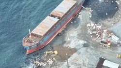 Ход работ по утилизации китайского сухогруза Xing Yuan проверили с помощью дрона