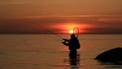 Рыбакам-любителям разрешили ловить кету на Сахалине