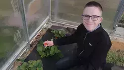 Ягодный успех: сахалинские школьники победили в аграрном конкурсе с бизнесом по выращиванию клубники