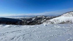 Снежно и тепло будет в Южно-Сахалинске 24 декабря 