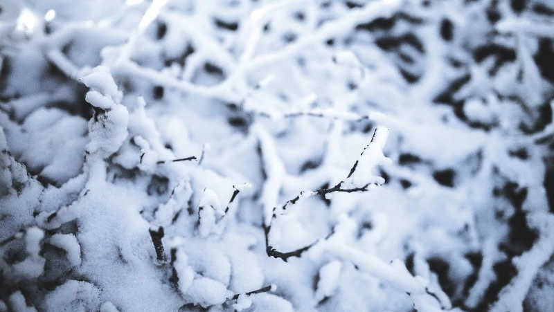 Мороз до -29 градусов ждет жителей Сахалина и Курил 22 декабря