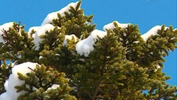 Лагуна Буссе