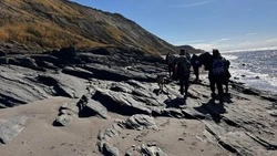 Жители Сахалина вышли на очередные поиски пропавшей семьи Пичугиных