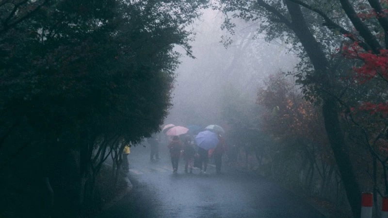 До +12 и слабый дождь с туманом: прогноз погоды в Южно-Сахалинске на 26 мая