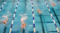 Международный турнир по плаванию «СахМастерс-2023» впервые пройдет на Сахалине