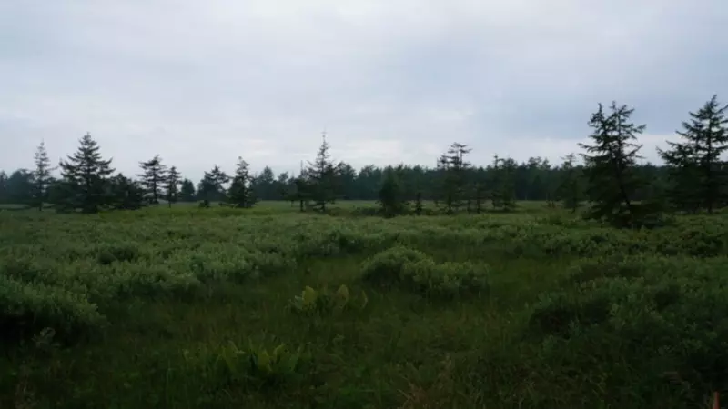 «Дальневосточные гектары» на берегу реки возмутили сахалинцев