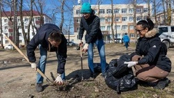 Городской субботник отменили из-за непогоды в Южно-Сахалинске 22 апреля