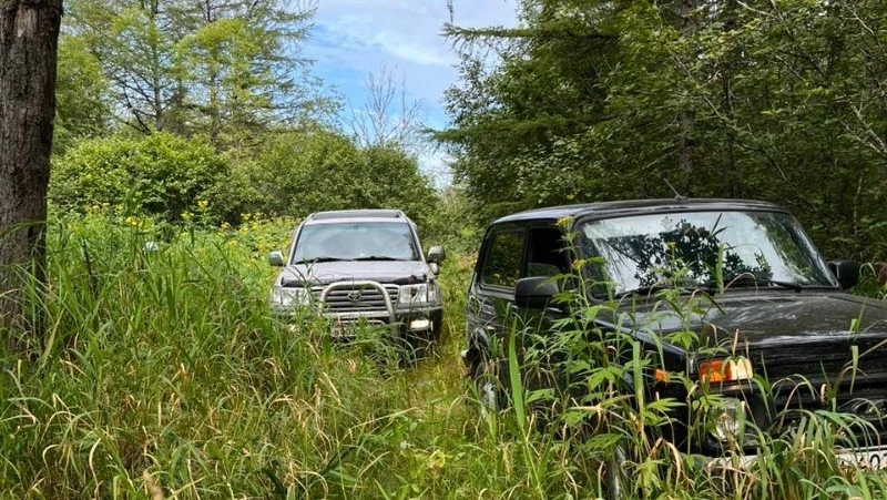 В Охе продолжают искать пропавшую в лесу пенсионерку
