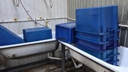 Житель Сахалина в составе ОПГ заработал миллионы на продаже форели под видом чавычи  