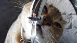 Повреждение водопровода оставит южную часть Южно-Сахалинска без воды 19 ноября 