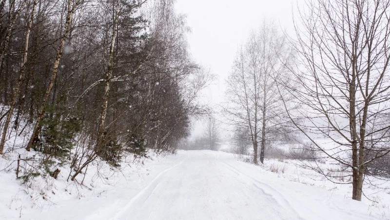 Снегопад и сильный ветер ожидают жителей Сахалинской области 13 марта 