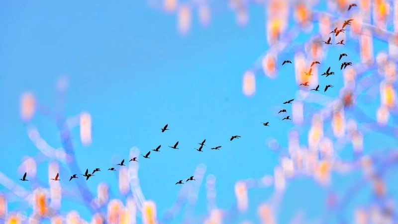 Синоптики прогнозируют туман, ветер и потепление в Сахалинской области 11 апреля