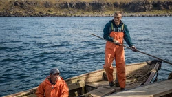 Ученые объяснили причину плохого захода горбуши на нерест в сахалинские реки