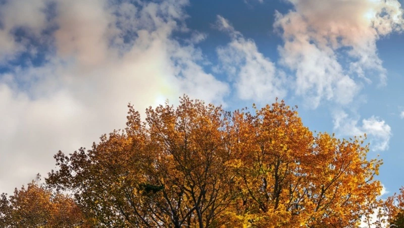 Церковный праздник 18 октября 2024: что нельзя делать в этот день, приметы