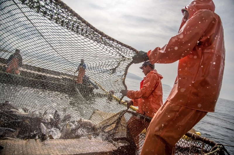 Ловись, рыбка