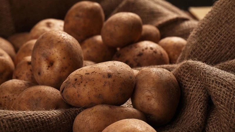 Фермеры Сахалина соберут на 2 тысячи тонн больше овощей в 2022 году