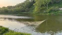 Рыбоохрана забрала более 100 незаконных орудий лова у сахалинских рыбаков