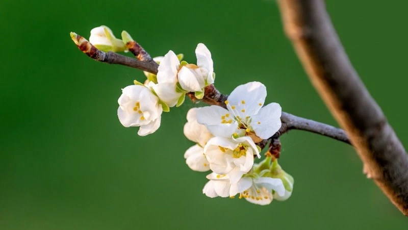 Церковный праздник 5 мая 2023: что нельзя делать, приметы