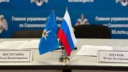 Глава ГУ МЧС по Сахалинской области рассказал об экскурсиях для детсадовцев