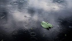 Вильфанд: на Сахалин и Курилы надвигаются сильные дожди и ветер