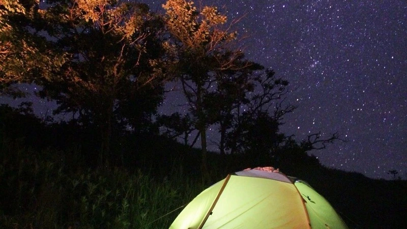 Звездное небо над Сахалином и Курилами засняли на камеру. Фото