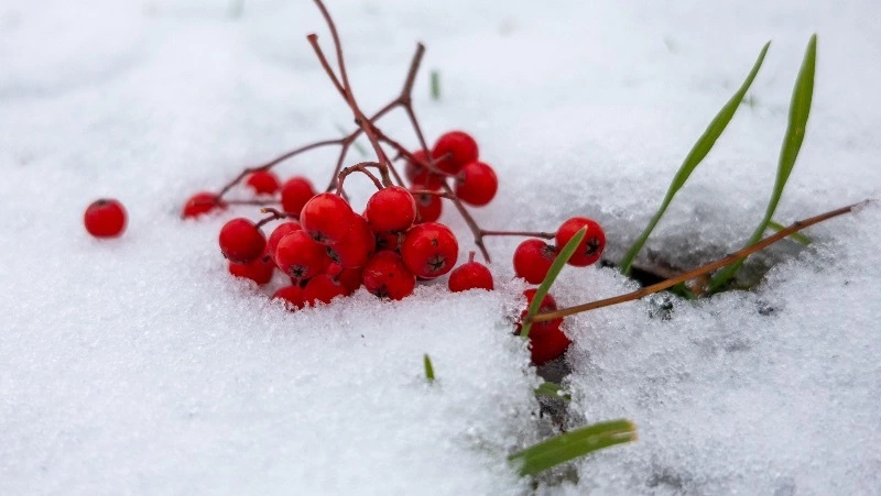 Синоптики спрогнозировали солнечную погоду в Южно-Сахалинске 10 декабря