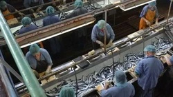 Три суда подтвердили копеечную цену сахалинского рыбозавода, который не могут обанкротить 8 лет