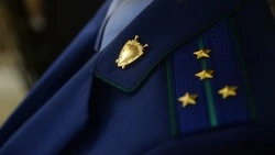 Прокуратура организовала проверку по факту падения ребенка со здания в Красногорске