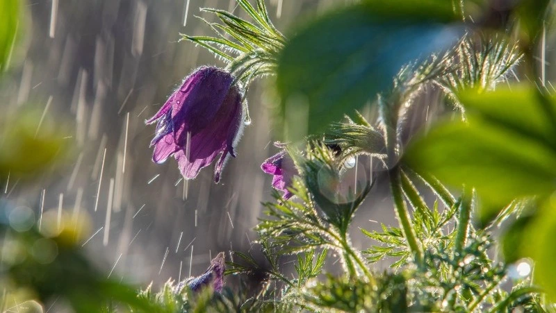 Церковный праздник 2 мая 2025: что нельзя делать в этот день, приметы