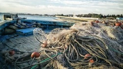 Первые проблемы путины-2022 назвали на Сахалине