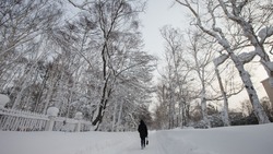 Синоптики пообещали мороз до -42 градусов на севере Сахалина 11 января